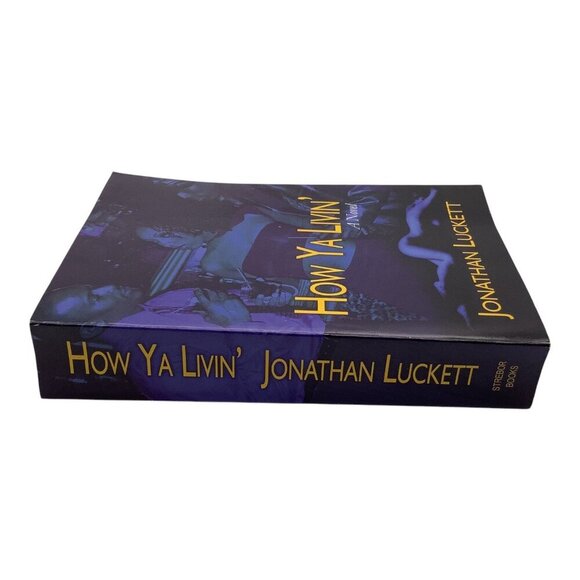 How Ya Livin By Jonathan Luckett 2004 Paperback Novel Book - Picture 8 of 8